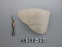 藏品(安平壺腹片)的圖片